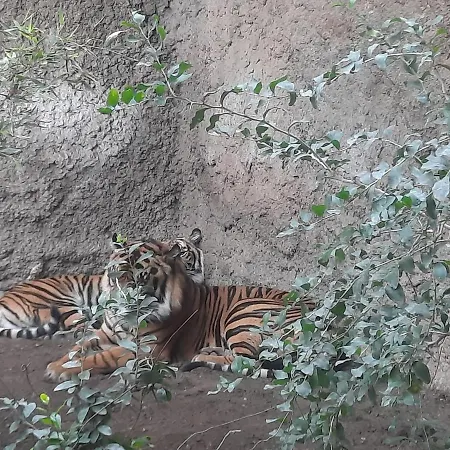 Appartement Sunshiny Costa Del Sol - Fuengirola