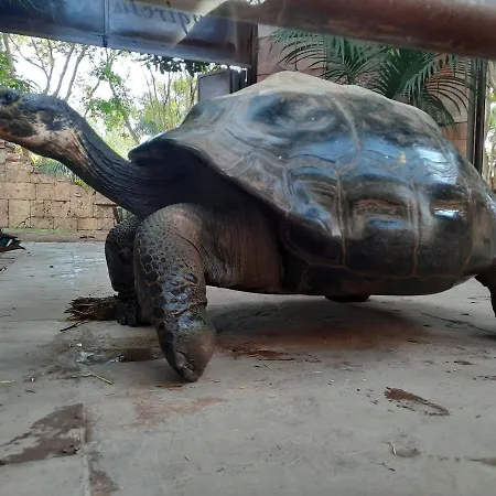 Sunshiny Costa Del Sol - Appartement *