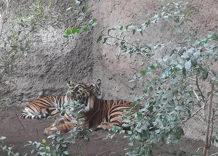 Appartamento Sunshiny Costa Del Sol - Fuengirola