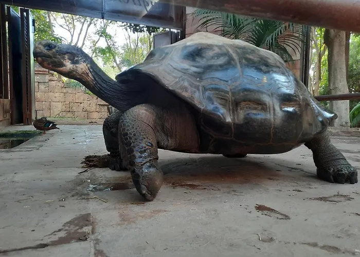 Sunshiny Costa Del Sol - Apartment *