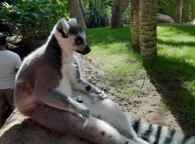 Sunshiny Costa Del Sol - Apartment *