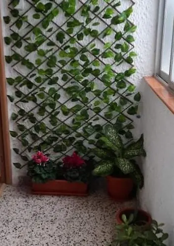 Sunshiny Costa Del Sol - Apartment *